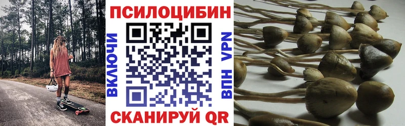 Псилоцибиновые грибы MAGIC MUSHROOMS  Тосно 