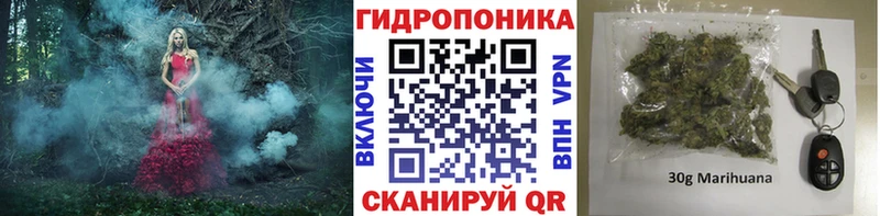 KRAKEN зеркало  наркошоп  Тосно  Бошки Шишки планчик 